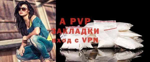 дживик Касимов