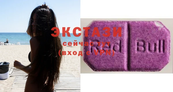 дживик Касимов