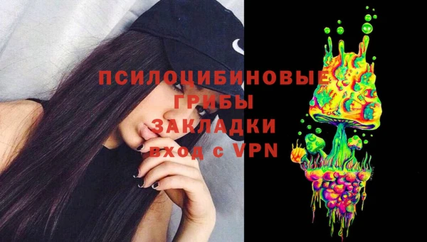 дживик Касимов