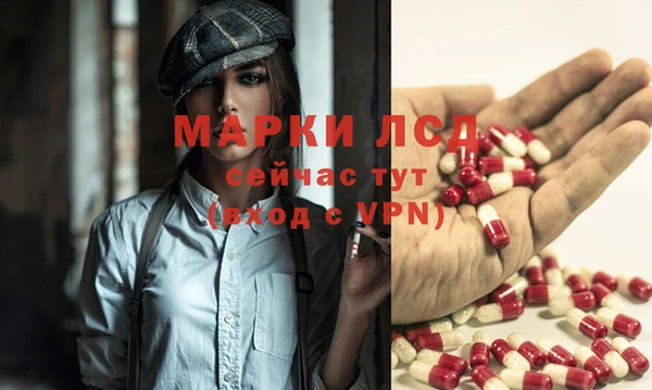 дживик Касимов